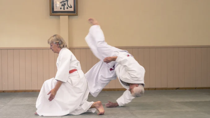 August 2025 Aikido Update