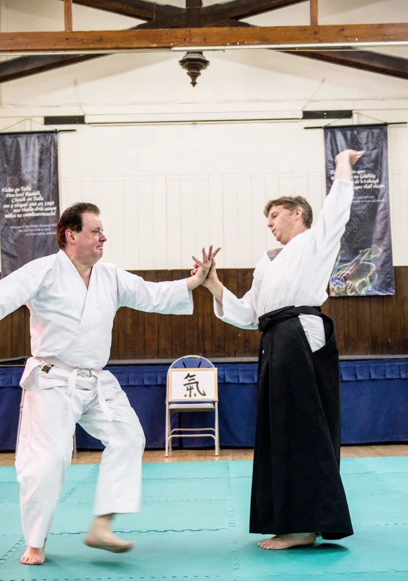 The partner landing softly after a technique, studying how to follow the exercise to the mat